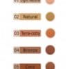 Air Stocking Premier Silk Spray On Pantyhose Skin Colors